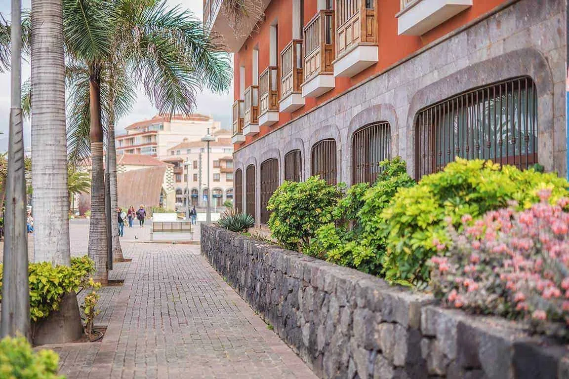 Travel Fotografie auf Teneriffa - Bild 15